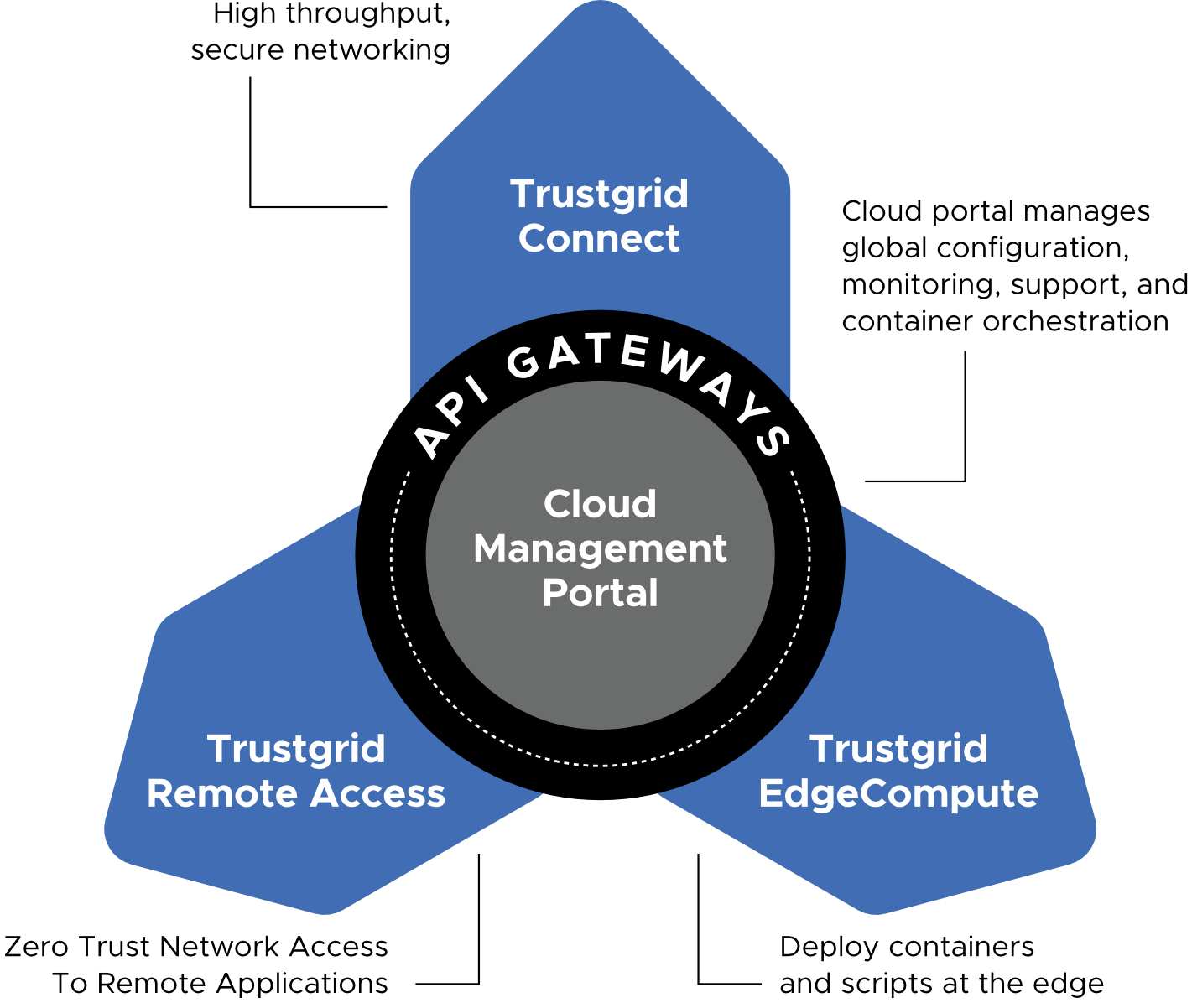 Connecting Distributed Applications - trustgrid.io